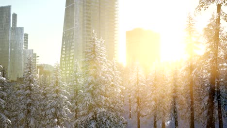 sity-and-forest-in-snow-at-sunrise