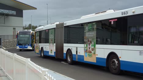 two buses at a bus stop