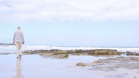 rear view of old caucasian senior man walking at beach 4k