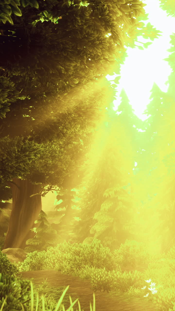 Sunlight shines through trees in a vibrant forest during the day