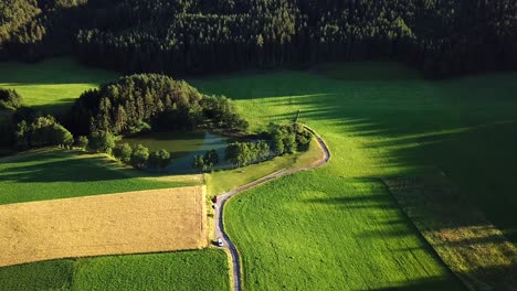 Aerial-view-of-a-hidden-pond-surrounded-by-trees-on-an-Austrian-mountain-valley