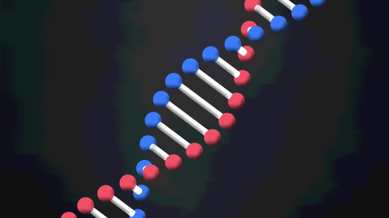 animación de una cadena de adn girando sobre un fondo negro