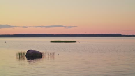 Ruhiges-Wasser-In-Einem-Naturschutzgebiet,-Getaucht-In-Das-Sanfte,-Rosa-Nachglühen-Eines-Sommerabends