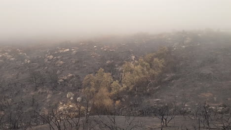 aerial over the aftermath of a wildfire