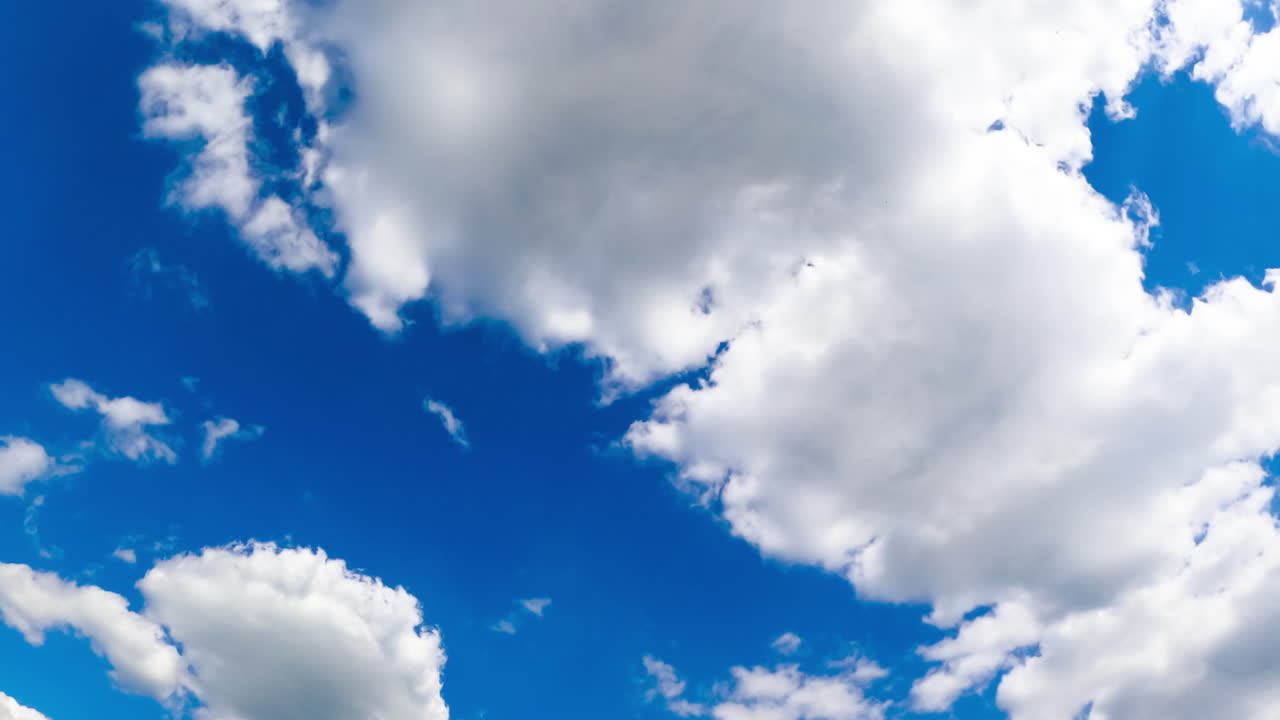 Summer bright azure sky with cumulus white clouds transforming quickly. Low angle view. Timelapse.
