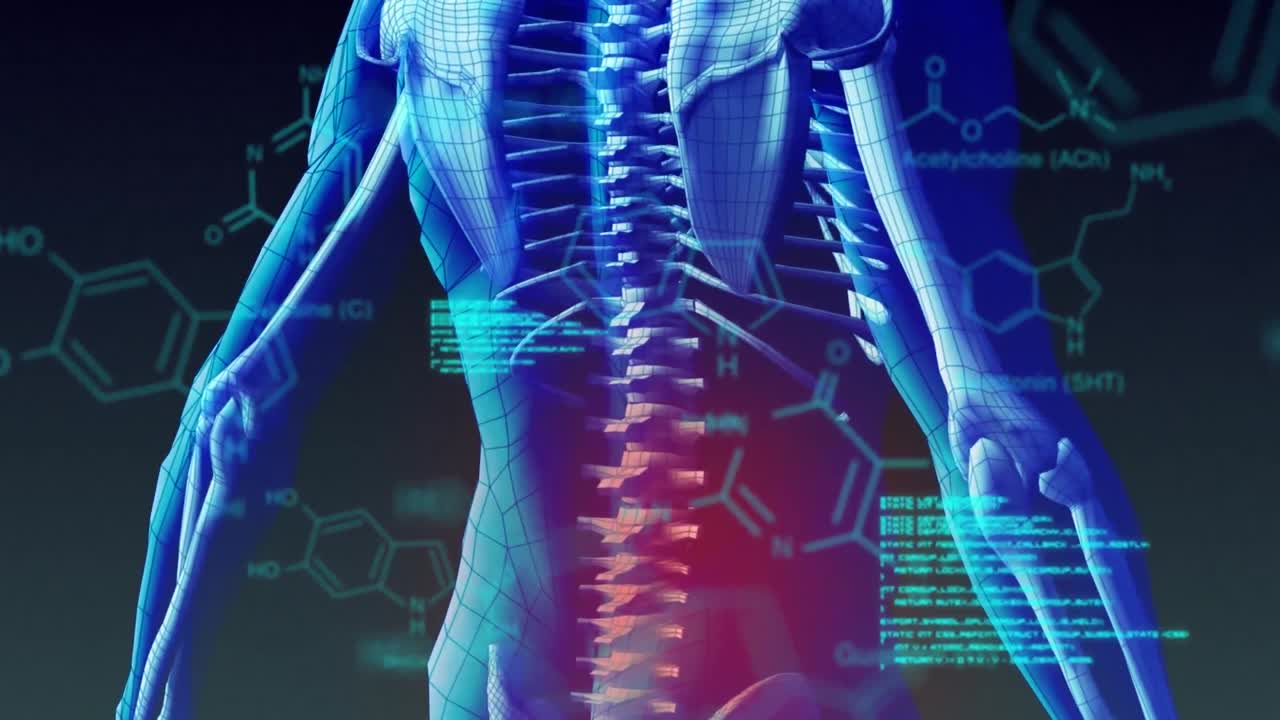 인간의 몸 위에서 과학적 데이터 처리의 애니메이션