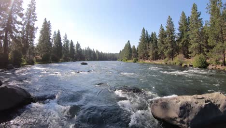 dolly push upstream, just above the water in a large river