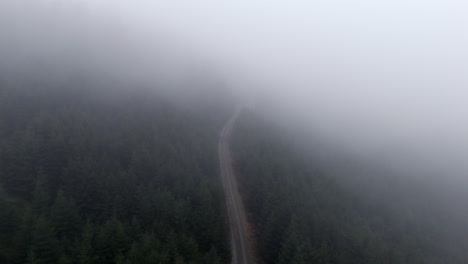 veil of mist: the enshrouded forest path