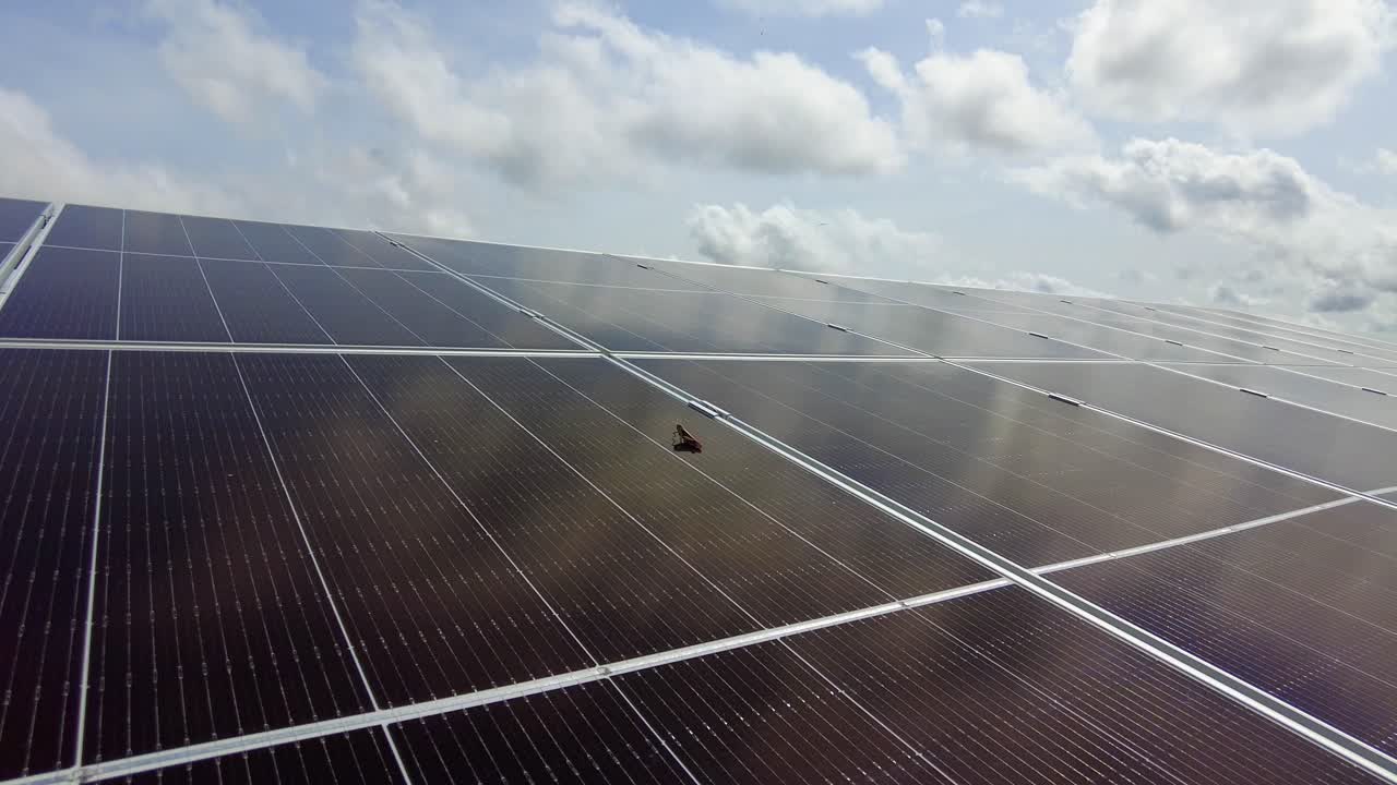 un insecto saltamontes en una matriz de paneles solares que simboliza la ecología de la energía renovable en áfrica