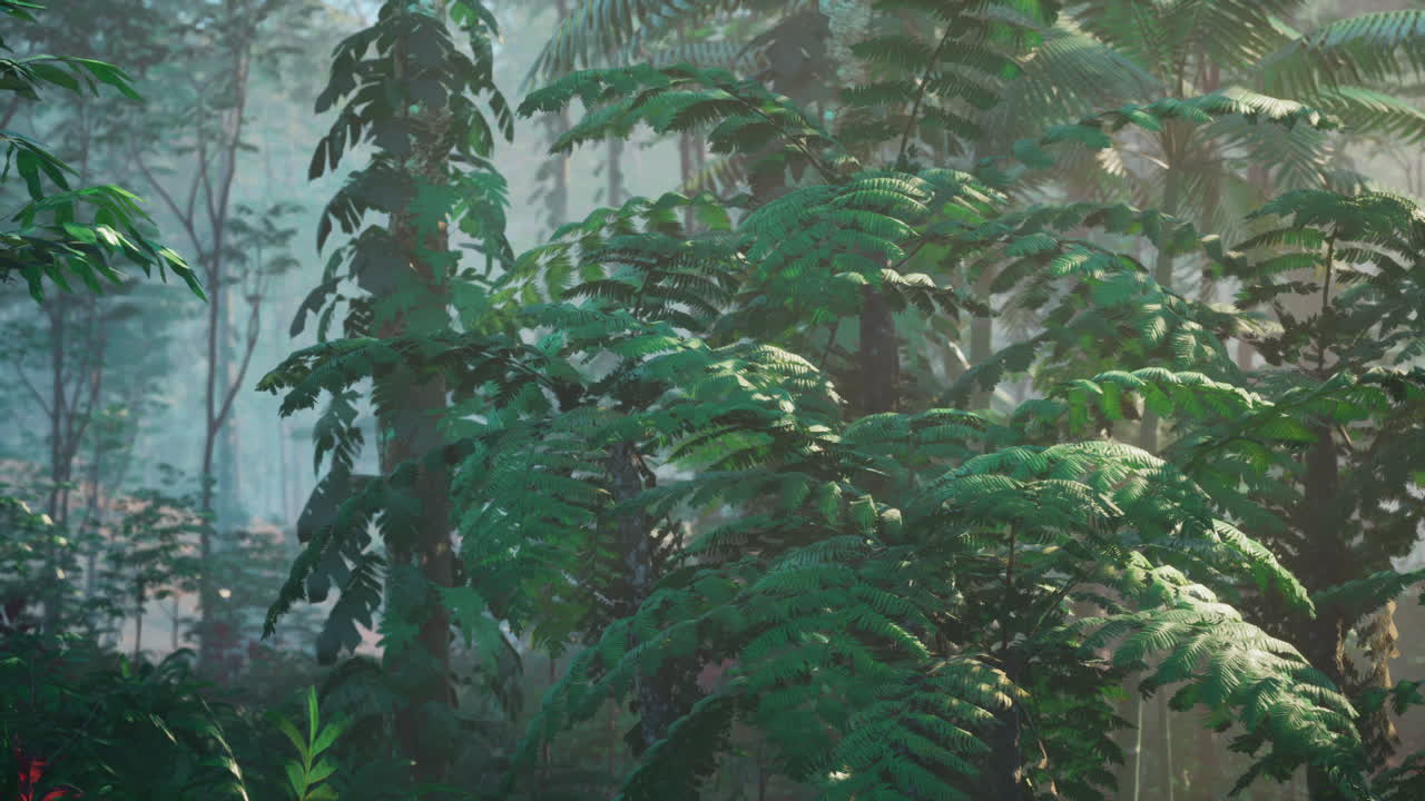 selva tropical exuberante con niebla