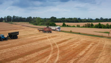 massive harvester case heading to the ripe field of wheat. powerful machine is ready to get to work. nature backdrop.