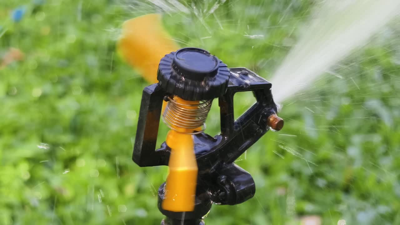 Garden Sprinkler Watering Grass