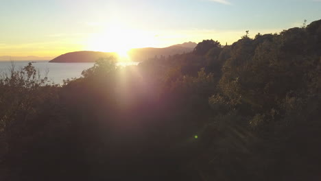 Toma-Aérea-De-Un-Dron-Recorriendo-Las-Copas-De-Los-árboles-En-Una-Hermosa-Puesta-De-Sol-En-Elba,-Italia