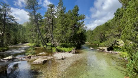 aigüestortes national park spain protected nature lerida catalunya beautiful mountain river with crystal clear water thaw rio sant nicolau