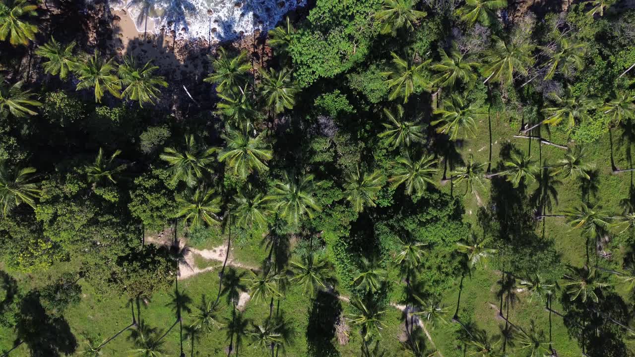 Top down drone footage of a tropical shoreline in Koh Lanta, Thailand, showing clear turquoise sea, palm trees and rocky beach formations in a calm and scenic island landscape