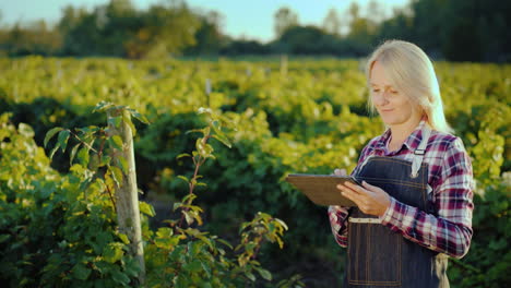 una agricultora satisfecha usa una tableta cerca de su jardín por la noche antes del atardecer