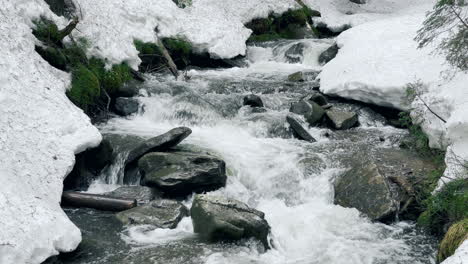 hermoso flujo de agua del río y nieve en invierno. río de montaña y colinas nevadas.