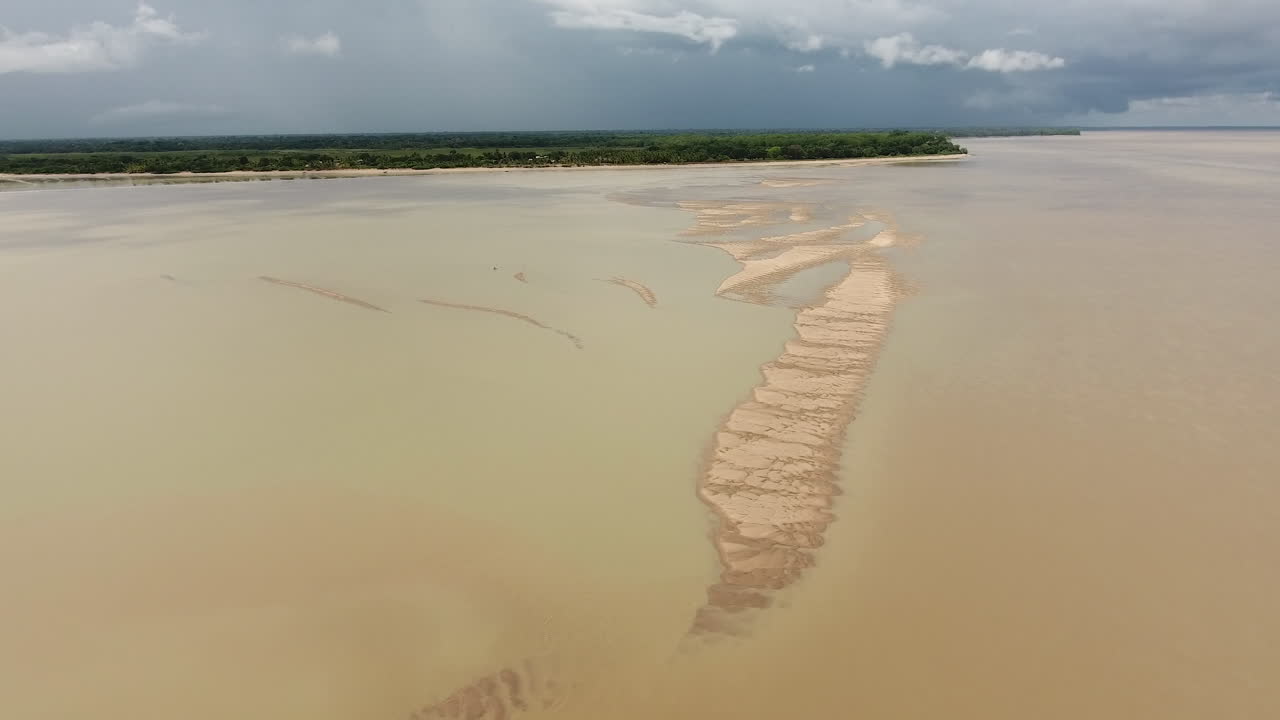orilla arenosa en guayana vista aérea. aves marinas en la arena