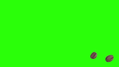 realistic coffee beans animation graphic element on green screen chroma key