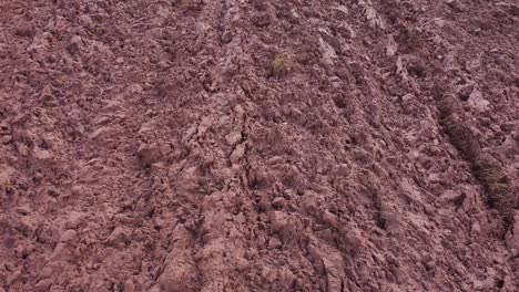 campo de suelo recién arado para cereales desde arriba vista aérea