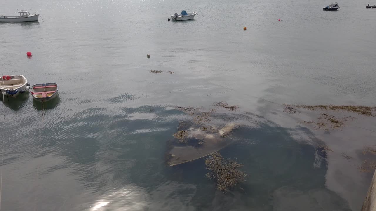 데본 항구에 가라앉은 작은 배