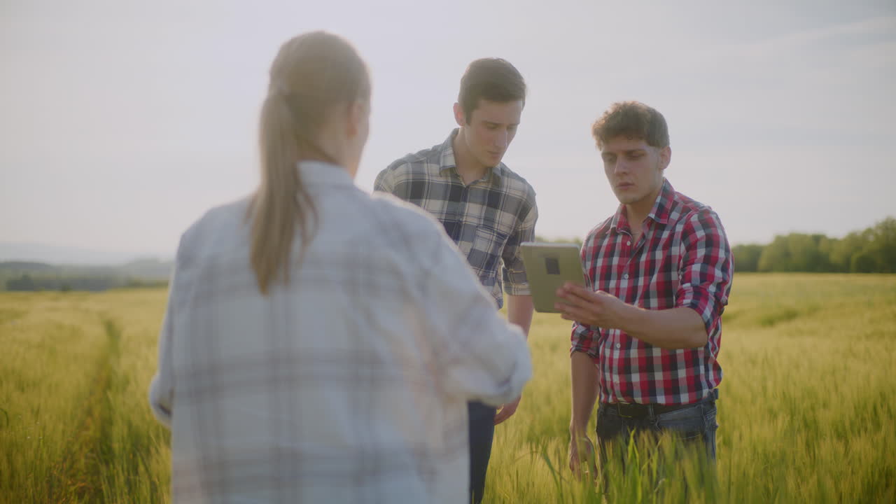 Farmers Using Technology in a Wheat Field