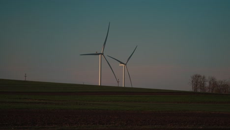 wind turbines in a green field