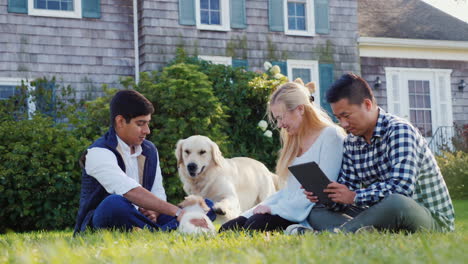 golden retriever plays with puppy near people