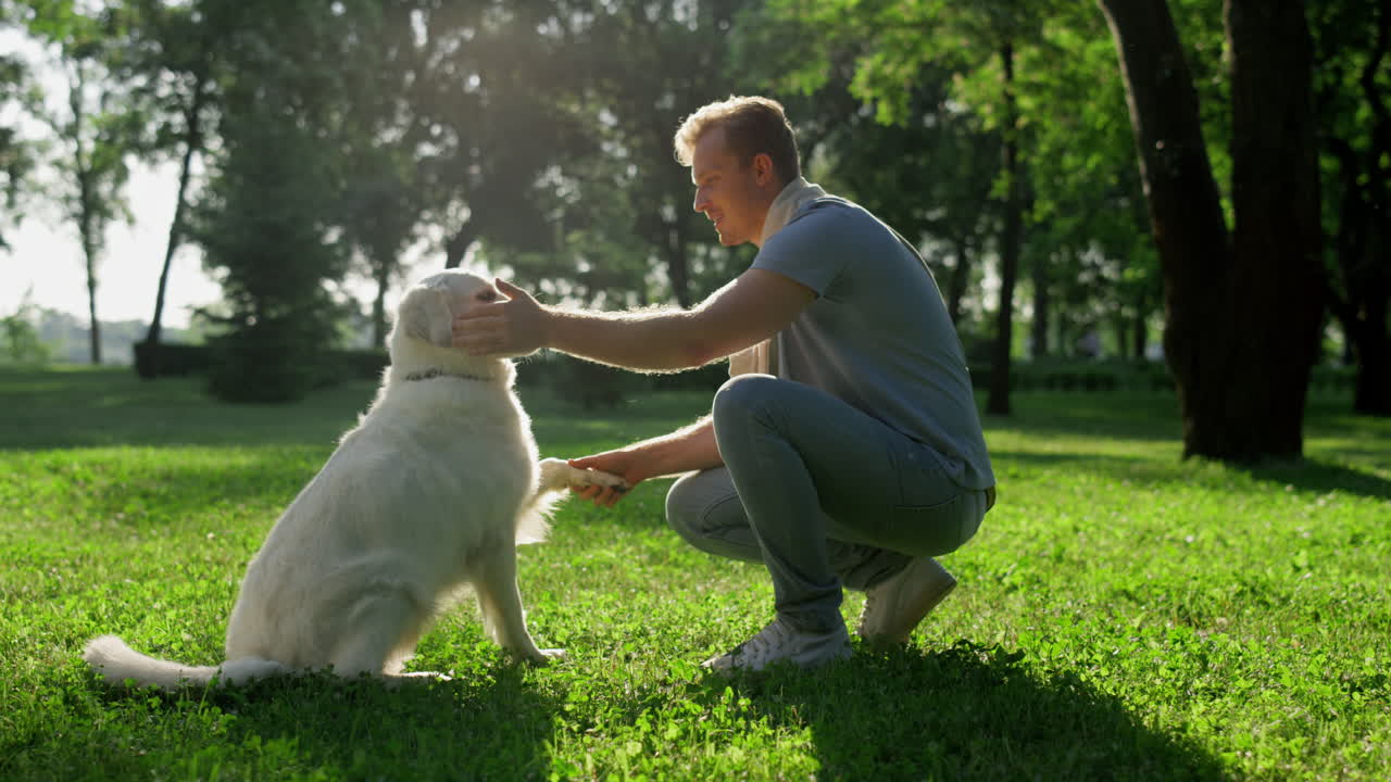 Happy smart golden retriever give paw to handsome owner. Pet lick hand lie down