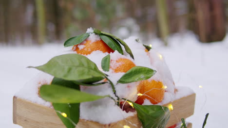 naranjas cubiertas de nieve