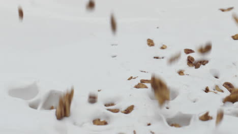 Granola-Fällt-Natürlicher-Joghurt-In-Super-Zeitlupe,-Nahaufnahme.-Gesundes-Getreideessen