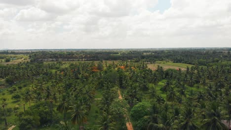 Aerial Follow Shot Over Coconut Plantation And Farm House In Chennai