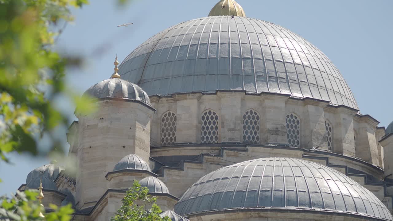Mosque Dome Architecture