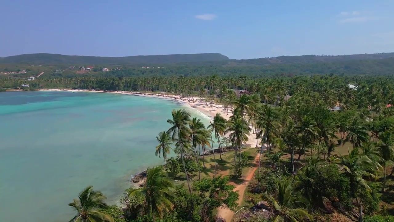 Volo cinematografico con drone sopra palme tropicali e la spiaggia di Playa Grande a Samaná, Repubblica Dominicana