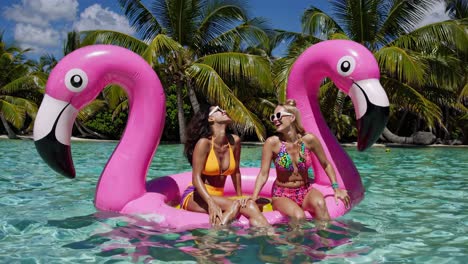 two women relaxing on a flamingo inflatable in a tropical pool