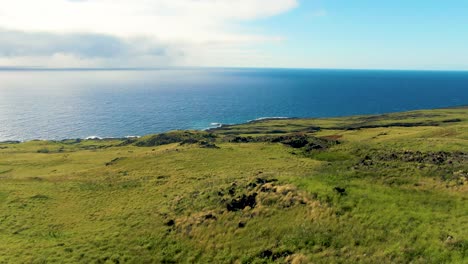 Pradera-Verde-Y-Horizonte-Del-Océano-Pacífico-Desde-La-Isla-De-Hawai,-Vista-Aérea