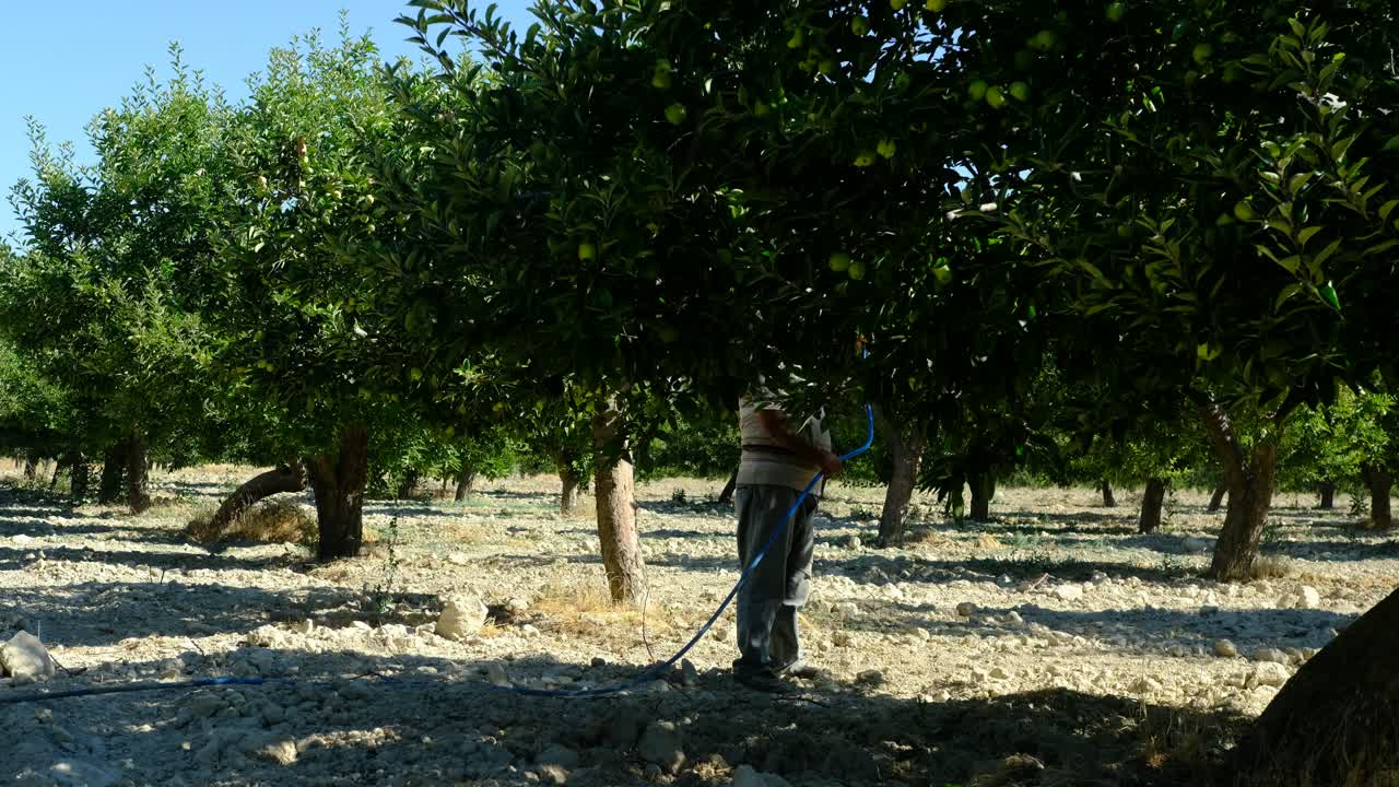 hombre de huerto cultivador
