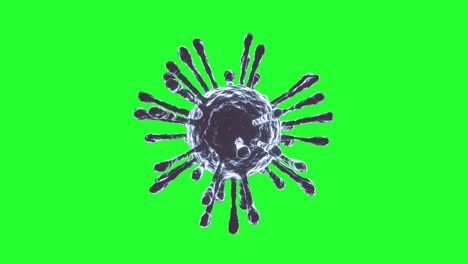 covid-19 coronavirus cell blue rotating. seamless looping. green screen. 4k uhd. 3d rendering.