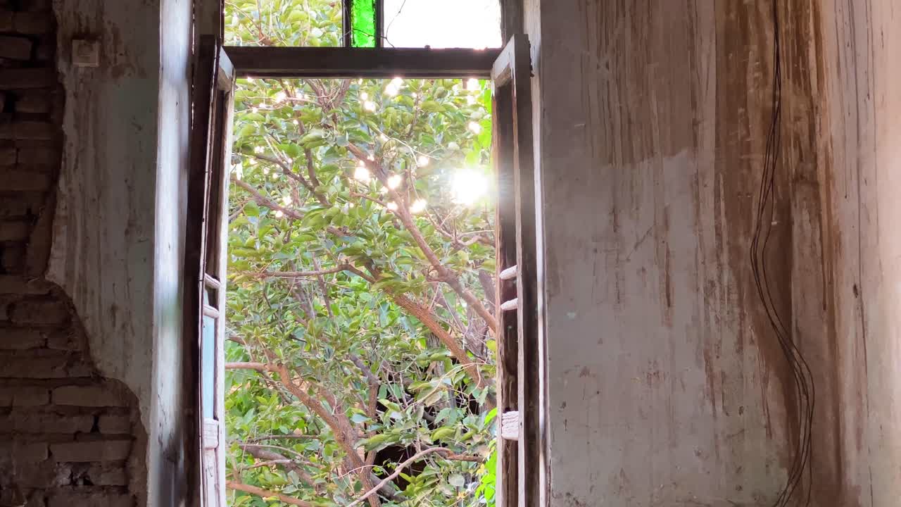 여름철 곤충이 마당에 있는 중동 녹색 정원에 버려진 오래된 집 전통 건축 디자인 집 안에서 나무 프레임 문 창 qazvin 시골 풍경에서 곤충이 날고 있습니다.