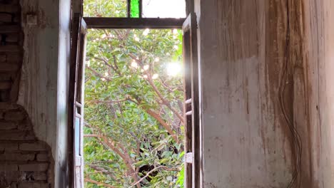 Inside-Old-House-traditional-architectural-design-home-abandoned-in-middle-east-green-garden-in-a-yard-in-summer-time-insect-are-flying-and-view-from-a-wooden-frame-door-window-Qazvin-rural-landscape