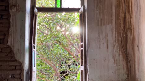 dentro de una casa antigua casa de diseño arquitectónico tradicional abandonada en el jardín verde de oriente medio en un patio en verano los insectos vuelan y se ven desde una ventana de marco de madera qazvin paisaje rural