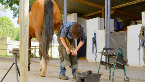 woman putting horseshoes in horse leg 4k