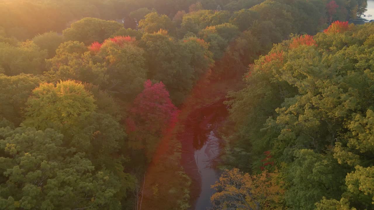 아름다운 가을 아침에 습지 개울 추적
