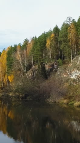 autumn forest by the river