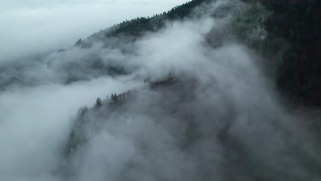 drone aerial, misty forest after rain, hills and rocks