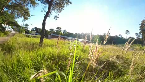 Fpv-Pan-A-La-Izquierda-De-Un-Camino-Vacío-Sobre-Hierba-Alta-Con-Grandes-Graneros-En-El-Fondo-En-Un-Día-Soleado