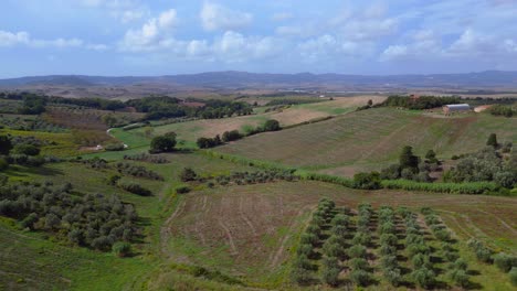 Dramatic-aerial-top-view-flight-meditative-LandscapeTuscany-Wine-field-valley-Italy-fall