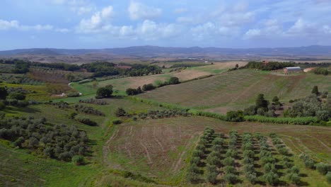 espectacular vista aérea de arriba vuelo paisaje meditativo campo de vino de la toscana valle de italia caída