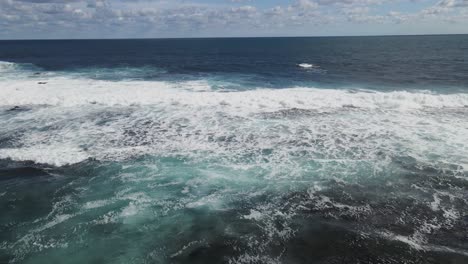 vuelo aéreo desde el océano rastreando de regreso a tierra sobre un arrecife y algunos árboles