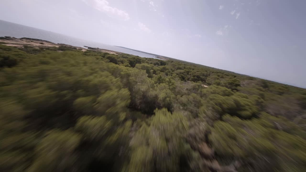 disparo de dron fpv volando sobre un denso bosque verde a lo largo de playas rocosas en faro de s'estalella, mallorca, islas baleares, españa durante el día